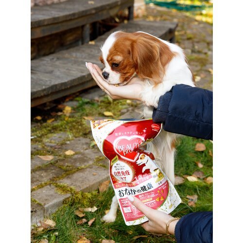 Корм для собак сухой Japan Premium Pet BEAUTY PRO с морским коллагеном для восстановления работы желудочно-кишечного тракта (ЖКТ), 400 гр