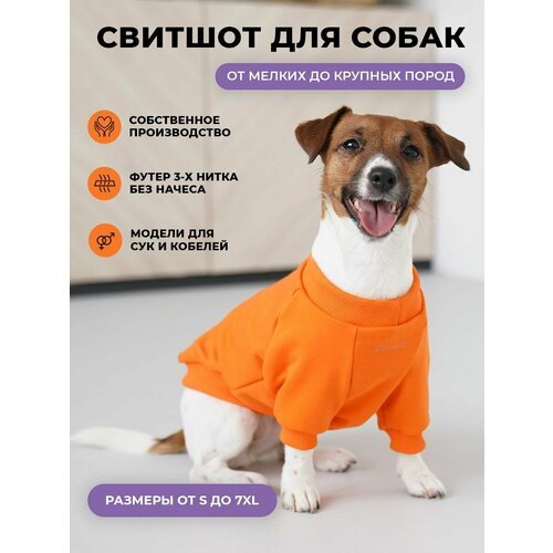 Свитшот для собак DOGFACE / Одежда для животных / Толстовка для мелких, средних и крупных пород (оранжевый, 4XL, мужской)