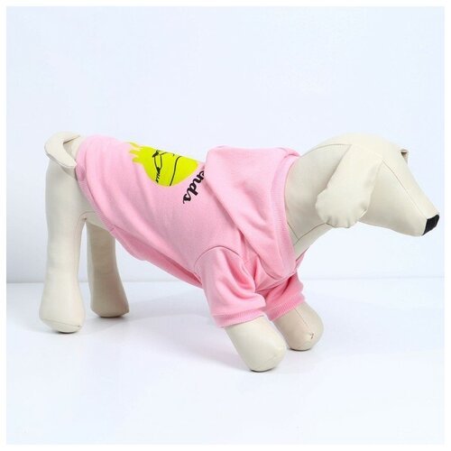 Толстовка Best Friends для собак (футер), размер L (ДС 30, ОШ 38-40, ОГ 52-56), розовая