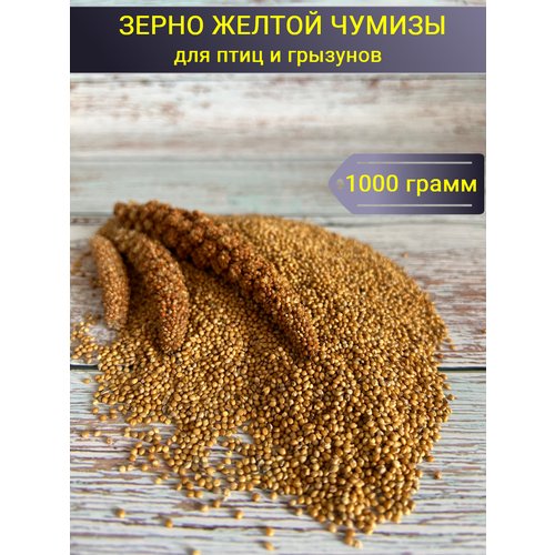 Зерно желтой чумизы/Лакомство для птиц и грызунов/1000 гр.