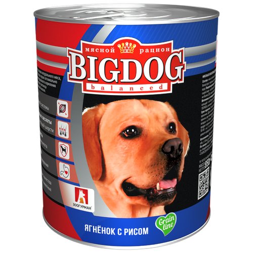 Влажный корм для собак Зоогурман Big Dog Big Dog, при чувствительном пищеварении, ягненок, с рисом 1 уп. х 1 шт. х 850 г (для средних и крупных пород)