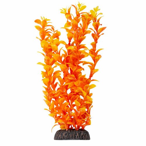 Растение Людвигия ярко-оранжевая, 300мм