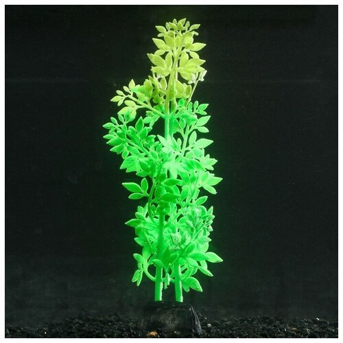 Растение силиконовое аквариумное, светящееся в темноте, 6,5 х 19 см, зелёное 7108776