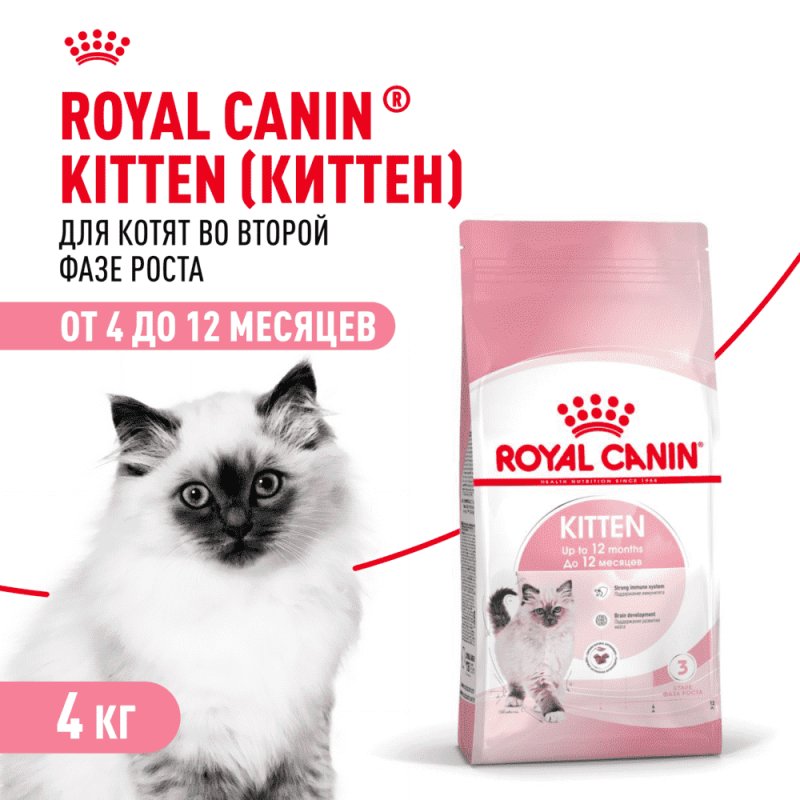 Корм для котят ROYAL CANIN сбалансированный в период второй фазы роста сух. 4кг