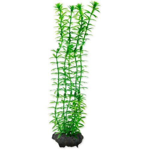 Растение аквариумное с утяжелителем Tetra Anacharis 1, 15см