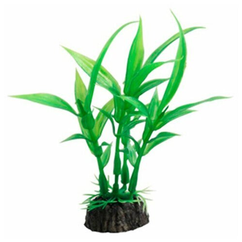 Растение аквариумное Гигрофила 100мм зеленая, 2 шт.