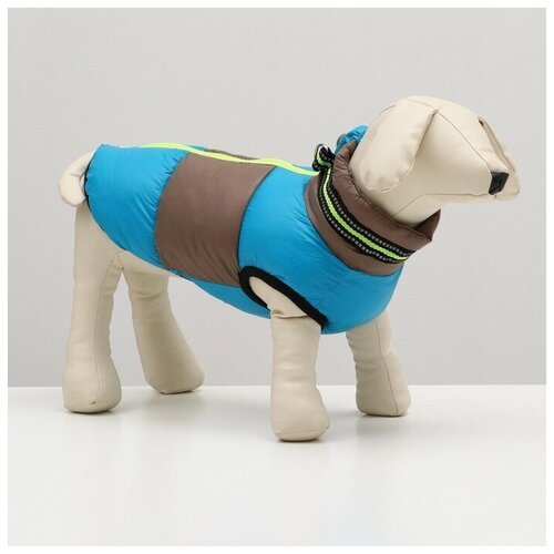 Куртка для собак на молнии, размер 8 (ДС 23 см, ОГ 30, ОШ 22 см), серо-голубая