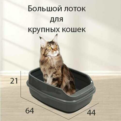 Лоток для кошек с бортом большой 64 х 44 х 21 см серый