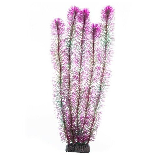 Растение Laguna Перистолистник фиолетовый для акариумов (50 см)