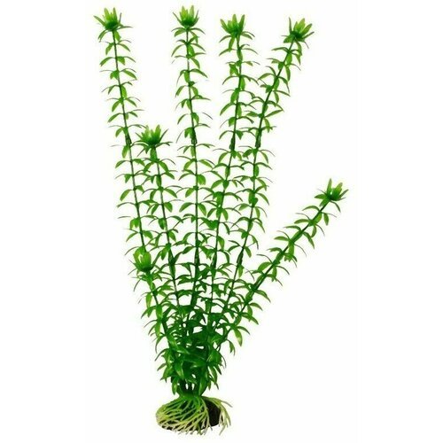 Пластиковое растение Barbus Элодея 30 см.