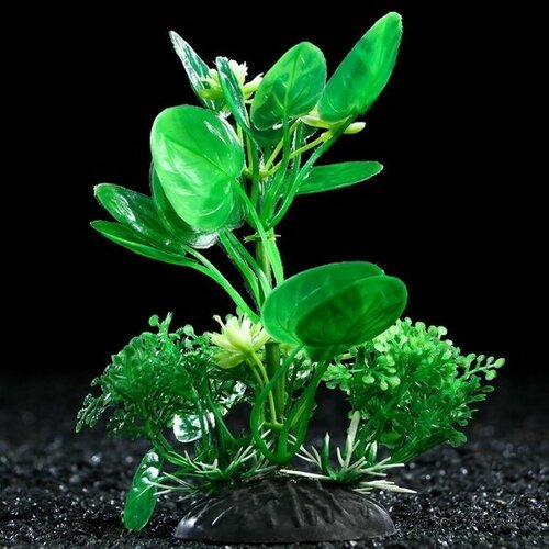 Растение искусственное аквариумное, 10 см, зелёное, 3 шт.