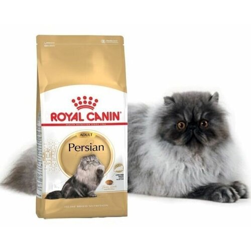 Корм сухой Royal Canin PERSIAN Специальное питание для кошек персидской породы, а также для кошек экзотической короткошерстной породы в возрасте от 1 года и старше, 4кг