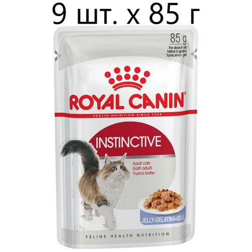 Влажный корм для кошек Royal Canin Instinctive, 9 шт. х 85 г (кусочки в желе)