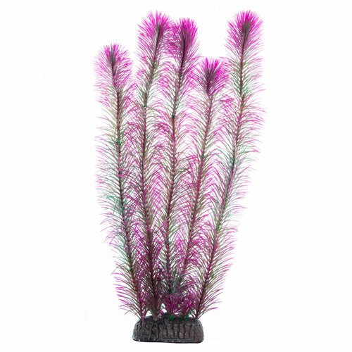 Растение Перистолистник фиолетовый, 400мм