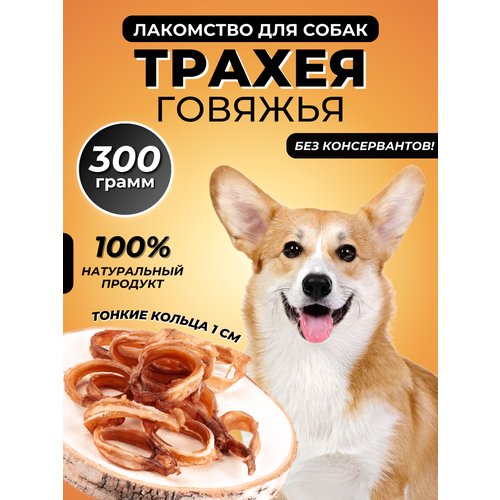 Лакомства для собак – трахея говяжья тонкими кольцами beatus 300 граммов