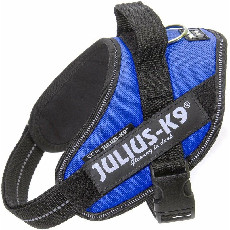 Julius-K9 шлейка для собак IDC-Powerharness Mini-Mini, 40-53 см/ 4-7 кг, синяя