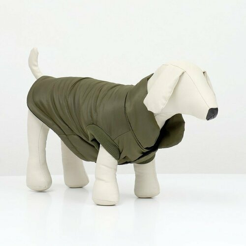 Куртка для собак 'Прятки', размер M (ДС 30, ОГ 40, ОШ 30 см), зелёная (комплект из 2 шт)