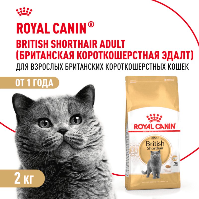 Корм для кошек ROYAL CANIN British Shorthair для породы британская короткошёрстная сух. 2кг