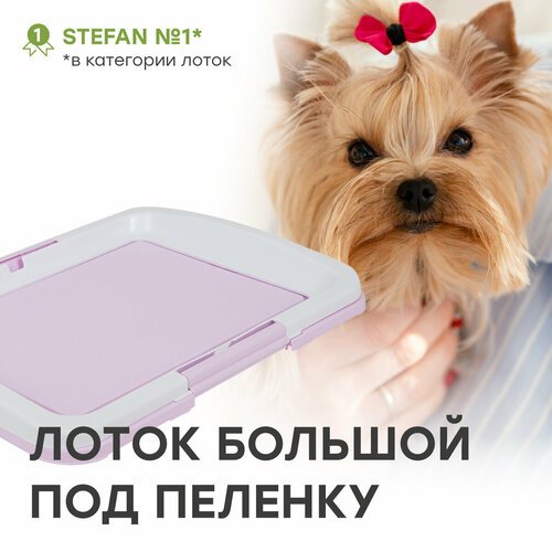 Туалет-лоток для собак под одноразовую пеленку большой (L), STEFAN (Штефан), размер 63×48, BP1034