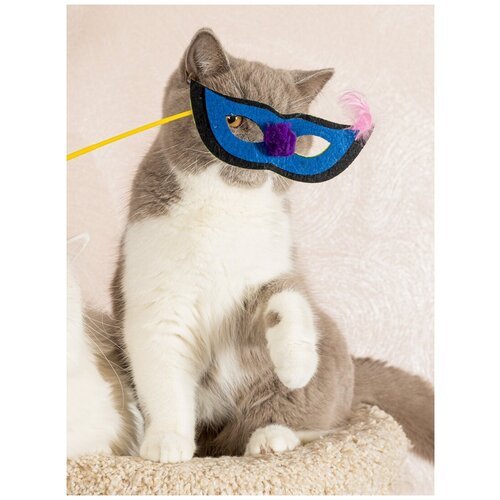 Игрушка для кошек Japan Premium Pet маскарад (для селфи) “Воришка”