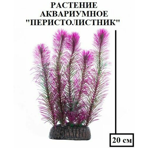 Растение 'Перистолистник', фиолетовое, 20 см, мягкое, не причиняет вреда рыбе, декорация для аквариума