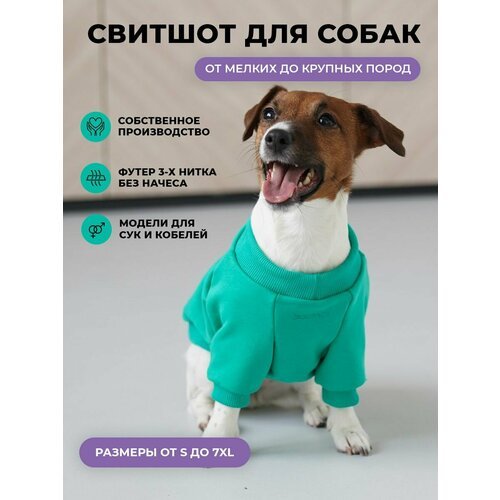 Свитшот для собак DOGFACE / Одежда для животных / Толстовка для мелких, средних и крупных пород (зеленый, 2XL, женский)
