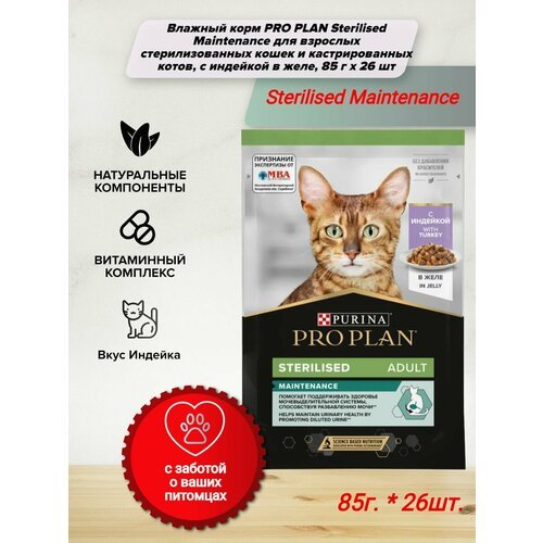 Влажный корм PRO PLAN Healthy Start для котят, беременных и кормящих кошек, с индейкой в соусе, 85 г x 26 шт