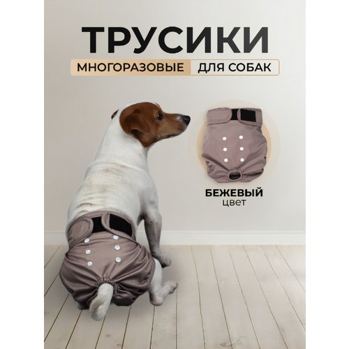 Многоразовые трусы для собак при течке, XS, бежевые