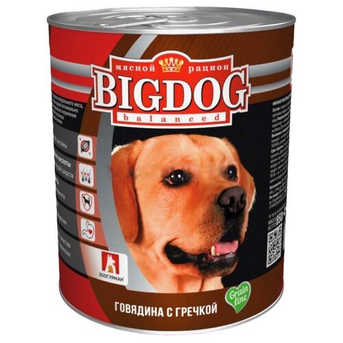 Влажный корм для собак Зоогурман Big Dog, говядина, с гречкой 1 уп. х 2 шт. х 850 г (для средних и крупных пород)
