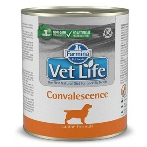FARMINA вет. корма Консервы для собак в период выздоровления VET LIFE 10852 | Vet Life Convalescence 0,3 кг 41124 (10 шт)