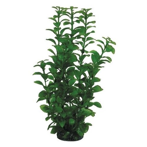 Laguna растение “Людвигия”, 300 мм, зеленая