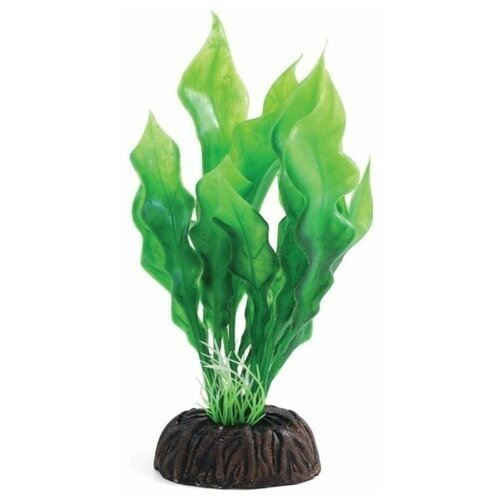 Laguna растение “Апоногетон”, 100 мм, зеленый