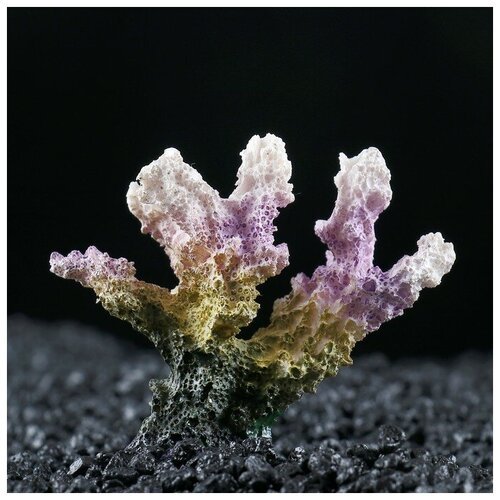 Декоративный коралл “Синулярия”, 7 х 4 х 7 см