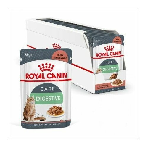 Royal Canin Влажный корм для взрослых кошек, с чувствительным пищеварением, Digestive Care, в соусе, 85 г, 24 шт