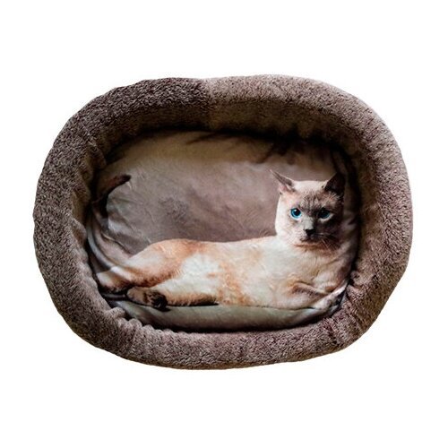 Лежак для кошек PerseiLine Rich Breed Дизайн № 5 принт 1 овальный 55 х 47 х 16 см (1 шт)