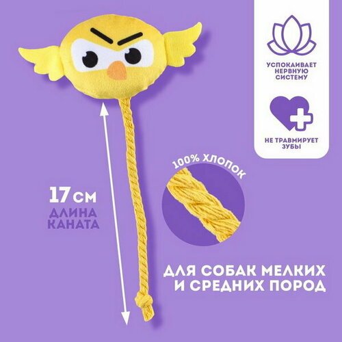 Игрушка для собак 'Птичка', с канатом