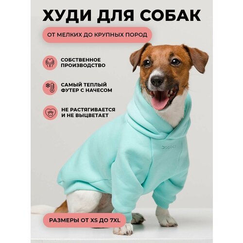 Худи для собак / Одежда для животных / Толстовка для мелких, средних и крупных пород (мятный, S, мужской)