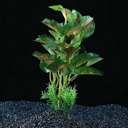 Растение аквариумное “В горшочке”, 31 x 23 x 19 см