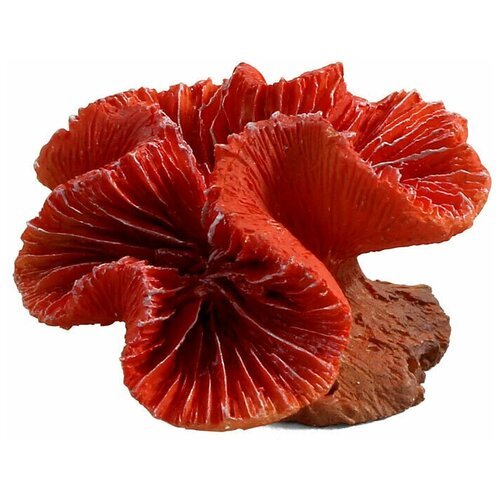 Коралл искусственный 'Каталофиллия' красная (2901LD), 70*65*40мм, 1шт