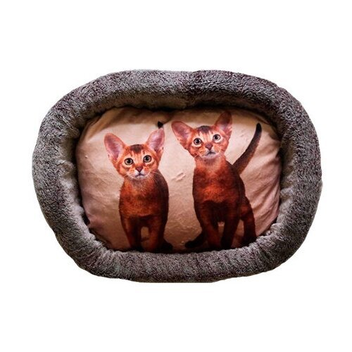 Лежак для кошек PerseiLine Rich Breed Дизайн № 5 принт 11 овальный 55 х 47 х 16 см (1 шт)