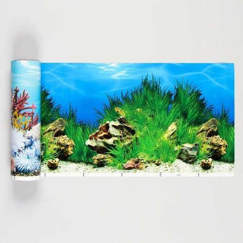 Sima-land Фон для аквариума двухсторонний, 30 см, рулон 15 м