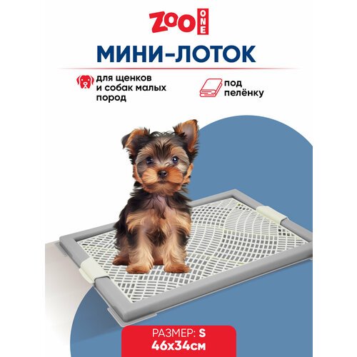 Туалет лоток для собак ZooOne “Мини” с сеткой 46*34*2,5 см, серый + белый, P104-04