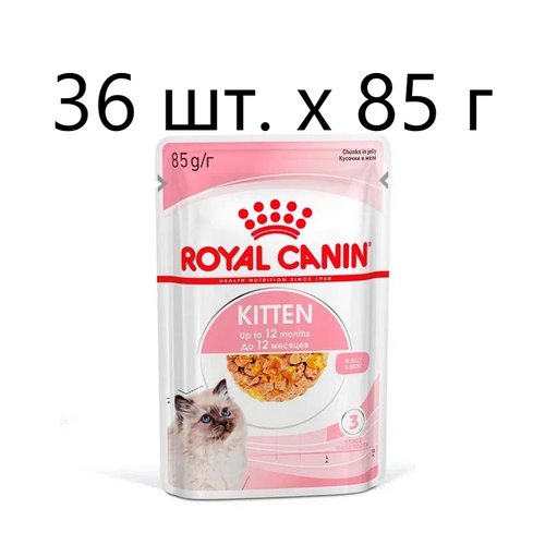 Влажный корм для котят Royal Canin Kitten, 36 шт. х 85 г (кусочки в желе)