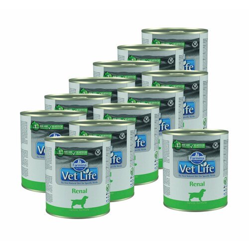 VET LIFE влажный корм для взрослых собак при заболеваниях почек 0,3 кг x 12 шт.