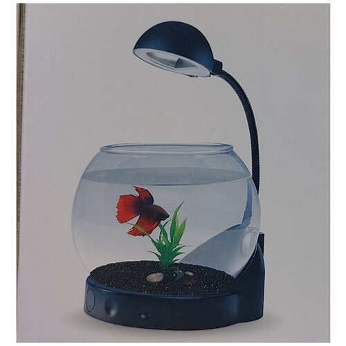 JENECA аквариум круглый 3 литров, аквариум для рыб черный с оборудованием, настольный аквариум, подставка, освещение, аквариумы для дома и офиса