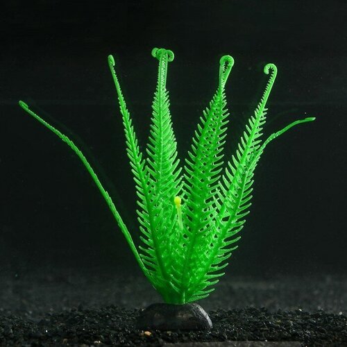 Sima-land Растение силиконовое аквариумное, светящееся в темноте, 10,5 х 18 см, зелёное