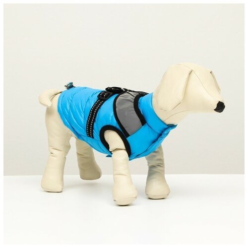 Куртка для собак со светоотражающей шлейкой, размер 8 (ДС 23, ОГ 30, ОШ 22), голубая