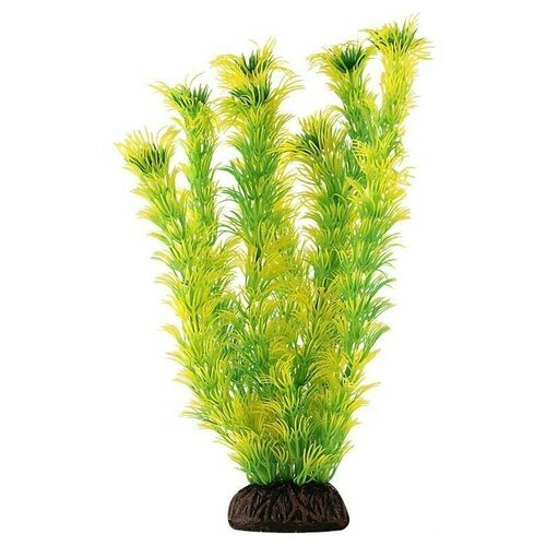 Растение пластиковое жёлто-зелёное Амбулия, 20см