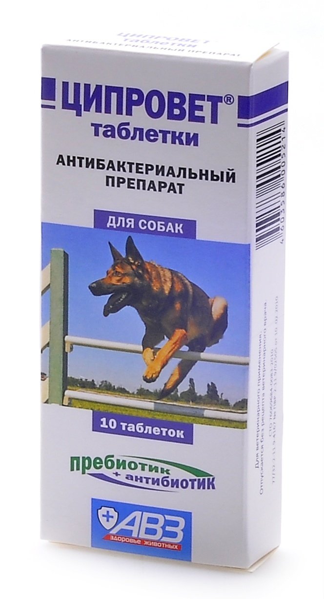 Агроветзащита Агроветзащита ципровет – антибактериальный препарат для крупных и средних собак (ципрофлоксацин+пребиотик), 10 таб. (10 г)