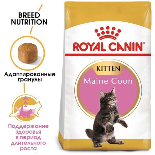 Корм сухой ROYAL CANIN MAINE COON KITTEN корм для котят породы мейн-кун в возрасте от 3 до 15 месяцев 10 кг х 2 шт